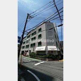 １０２大稲マンション 3階 築51年5ヶ月の賃貸物件