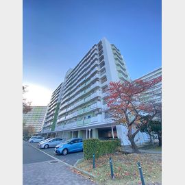 UR武庫川5号棟 4階 築47年1ヶ月の賃貸物件