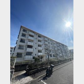 妙法寺駅より徒歩10分 5階 築43年1ヶ月の賃貸物件