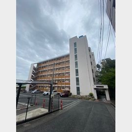 サンコート芦屋 3階 築53年4ヶ月の賃貸物件