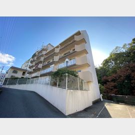 六甲駅より徒歩15分 6階 築55年1ヶ月の賃貸物件