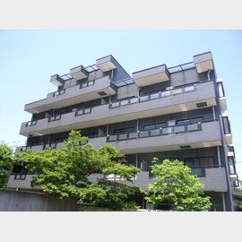 シティコート八雲 2階 築36年1ヶ月の賃貸物件