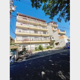 平井マンション 5階 築37年10ヶ月の賃貸物件