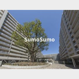 シティコート目黒4号棟 8階 築23年8ヶ月の賃貸物件