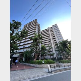 阿波座駅より徒歩5分 13階 築40年4ヶ月の賃貸物件