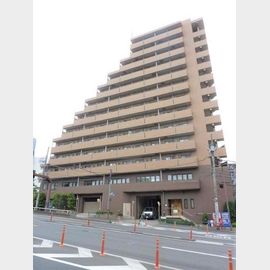 クオーレ青葉台 8階 築25年の賃貸物件