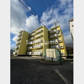 エード白川 4階 築49年11ヶ月の賃貸物件