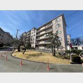 逆瀬川ハイツ５号棟の賃貸物件