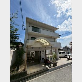 ダンディライオン住吉川 5階 築37年3ヶ月の賃貸物件