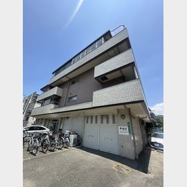 サンフラワー大橋 3階 築41年9ヶ月の賃貸物件
