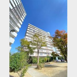 今津駅より徒歩19分 8階 築41年8ヶ月の賃貸物件