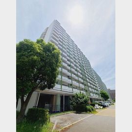 武庫川団地前駅より徒歩6分 6階 築47年5ヶ月の賃貸物件
