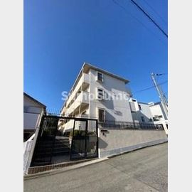 どみとりーときわ 1階 築41年2ヶ月の賃貸物件