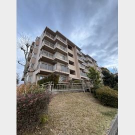 中落合第２住宅４８６号棟の賃貸物件