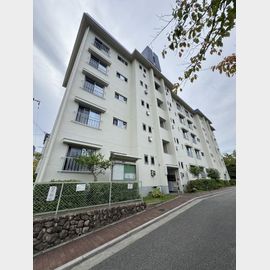 高倉台２—１団地１１号棟 3階 築53年の賃貸物件