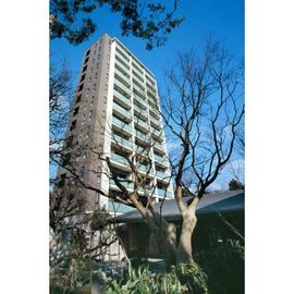 用賀駅より徒歩11分 築19年2ヶ月 13階建の賃貸物件