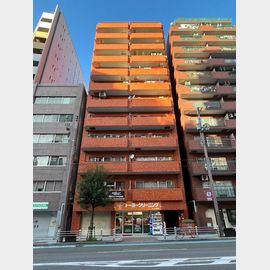 ライオンズマンション東本町第２ 9階 築42年11ヶ月の賃貸物件