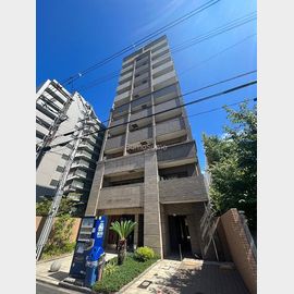 エイペックス南堀江 4階 築17年10ヶ月の賃貸物件