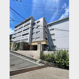 甲陽園駅より徒歩4分 5階 築54年6ヶ月の賃貸物件