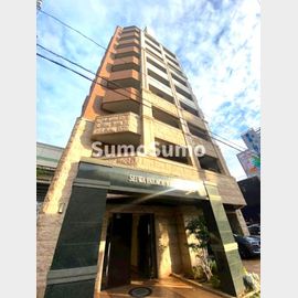 セイワパレス長堀南の賃貸物件