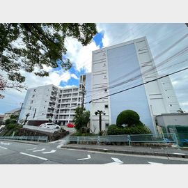 苦楽園口駅より徒歩7分 2階 築55年7ヶ月の賃貸物件