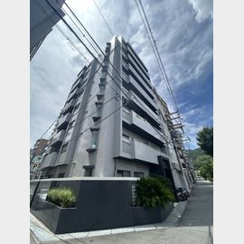 サンライズ壱番館 3階 築38年の賃貸物件