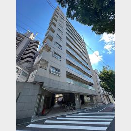 メゾン阿波座 8階 築47年8ヶ月の賃貸物件