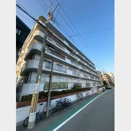 仁川駅より徒歩10分 5階 築53年の賃貸物件