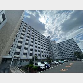 鳴尾小松住宅３号棟 4階 築53年10ヶ月の賃貸物件