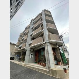 クレール平和 5階 築35年10ヶ月の賃貸物件