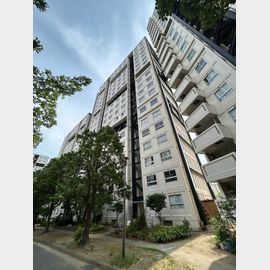 芦屋駅より徒歩23分 10階 築47年7ヶ月の賃貸物件