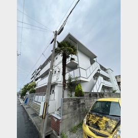 鳴尾ハイツ 3階 築49年8ヶ月の賃貸物件