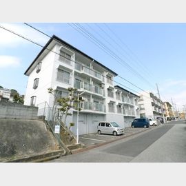 サンハイツ向陽 2階 築40年6ヶ月の賃貸物件