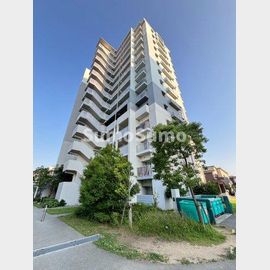 鳴尾・武庫川女子大前駅より徒歩21分 1階 築10年11ヶ月の賃貸物件