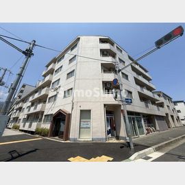 御影駅より徒歩8分 築38年7ヶ月 5階建の賃貸物件