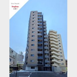 グレーシアフィット三軒茶屋 14階 新築の賃貸物件