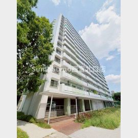 武庫川団地前駅より徒歩5分 10階 築46年10ヶ月の賃貸物件