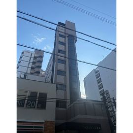 ラパンジール長堀 8階 築39年の賃貸物件