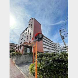 桜坂駅より徒歩3分 6階 築43年3ヶ月の賃貸物件