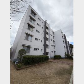 高倉台１２団地６１号棟 4階 築52年の賃貸物件