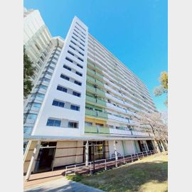 武庫川団地前駅より徒歩9分 11階 築47年の賃貸物件