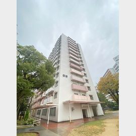 武庫川団地前駅より徒歩18分 11階 築41年11ヶ月の賃貸物件