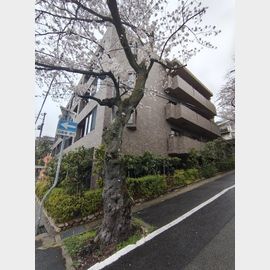 グランステイツ六甲桜通の賃貸物件