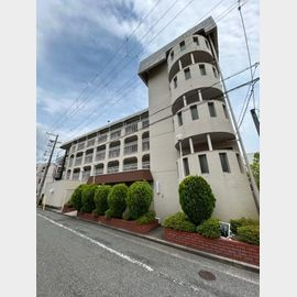 芦屋精道スカイハイツ 3階 築51年7ヶ月の賃貸物件