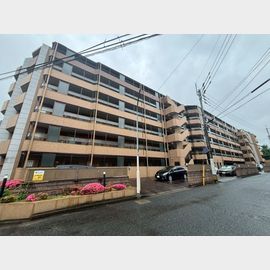 ライオンズガーデン大橋の賃貸物件