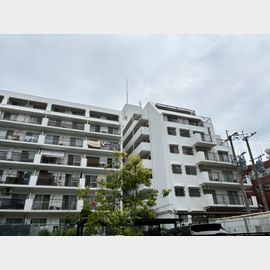 トーカンマンション大橋 2階 築42年1ヶ月の賃貸物件