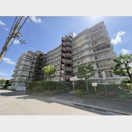 青木駅より徒歩12分 5階 築41年5ヶ月の賃貸物件