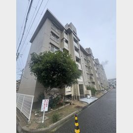 五位ノ池南ビル２号棟 4階 築59年11ヶ月の賃貸物件