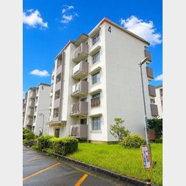 室見第一住宅4号棟 4階 築51年4ヶ月の賃貸物件