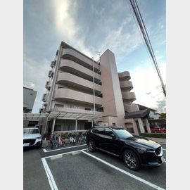 甲南山手駅より徒歩3分 6階 築30年1ヶ月の賃貸物件